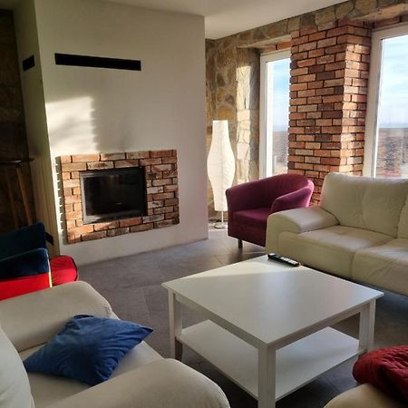 Vila Mlynska 8 Opole-Gorki Exteriér fotografie