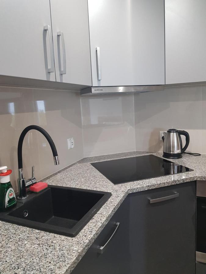Vila Mlynska 8 Opole-Gorki Exteriér fotografie