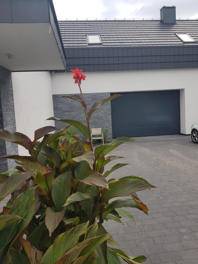 Vila Mlynska 8 Opole-Gorki Exteriér fotografie