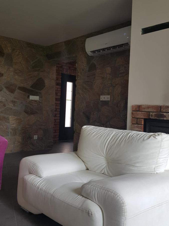 Vila Mlynska 8 Opole-Gorki Exteriér fotografie