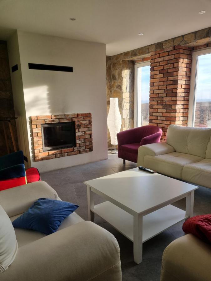 Vila Mlynska 8 Opole-Gorki Exteriér fotografie
